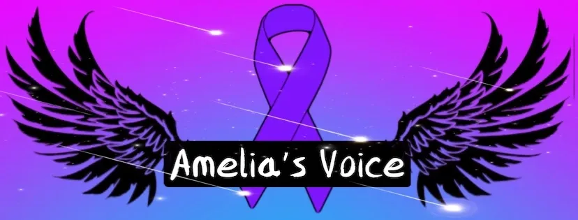 Read more about the article Amelia’s Voice/ Amelia’s House